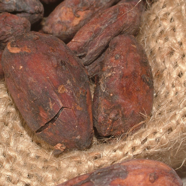 Chocolate preto